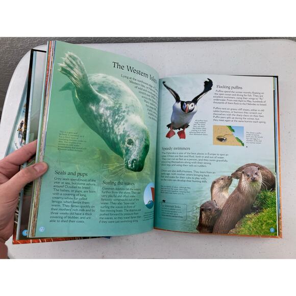 Lot of 2 Usborne Big Picture Atlas World Of Animals Encyclopedia Reference Books - Picture 5 of 11